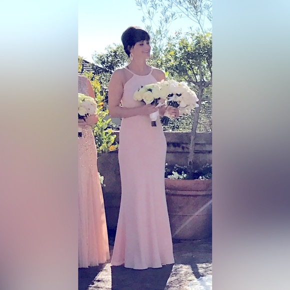 Calvin Klein Pale Pink Floor Length Dress - Picture 10 of 11